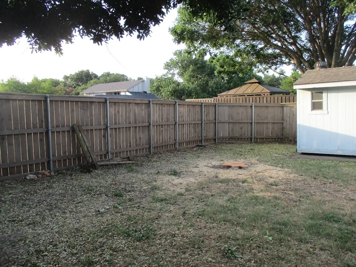 Cleared yard after professional tree removal in Standish